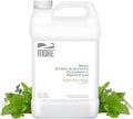 MORE Stone & Quartz Cleaner + Protector - Water-Based Surface Care Spray Refill - For Kitchen & Bathroom Countertops - Daily Cleaner/Protector - Peppermint-Thyme Essential Oil - 128oz