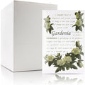 Scented Sachet for Drawers and Closets - Sachet Bags, Lot of 12 (Gardenia)
