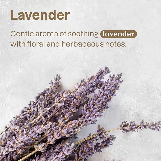 ATTITUDE Fabric Refresher for Pets, Neutralizes Odors, Plant and Mineral-Based Ingredients, Vegan and Cruelty-free, Lavender, 16 Fl Oz